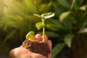 Sushumna Garbha Sanskaar: ‘Vedic Genetic Engineering‘ to redirect expecting mothers' lifestyles.